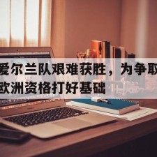 爱游戏game-爱尔兰队艰难获胜，为争取欧洲资格打好基础()